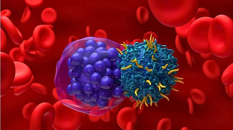 Científicos desarrollan una terapia celular de bajo coste que reduce el tiempo de tratamiento de semanas a 72 horas, con resultados prometedores en mieloma múltiple