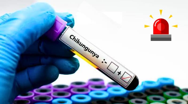 FDA detiene el uso de la vacuna contra chikungunya tras reportar efectos adversos severos, incluyendo muertes y hospitalizaciones.